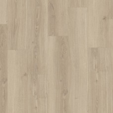 Ламінат parador Basic 600 V4 Дуб Студіолайн чистий натуральний